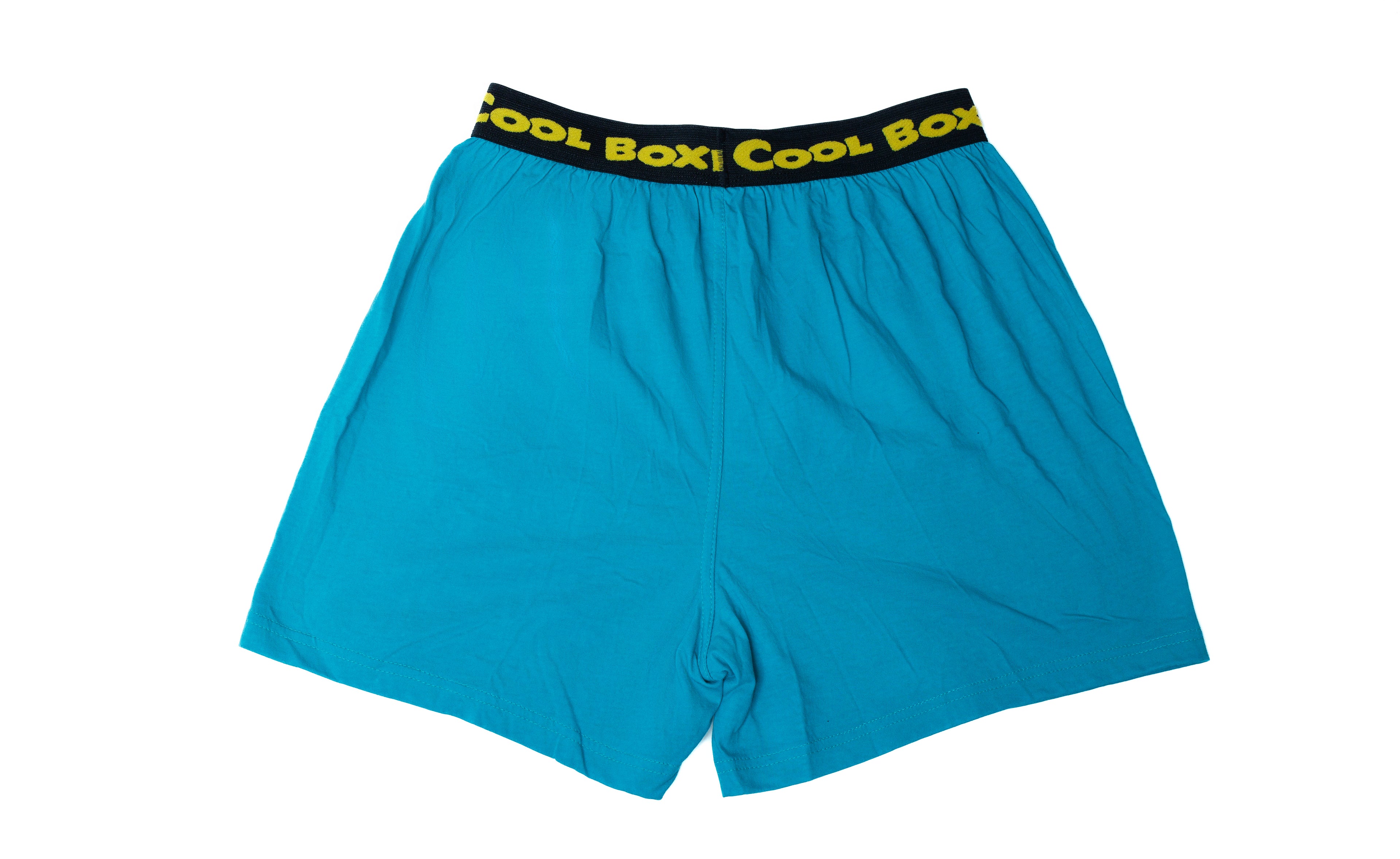 Men "DISNEY PERRY PLATYPUS" Cartoon Boxer