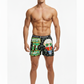Men Dollar "MAKE IT RAIN" Cartoon Boxer